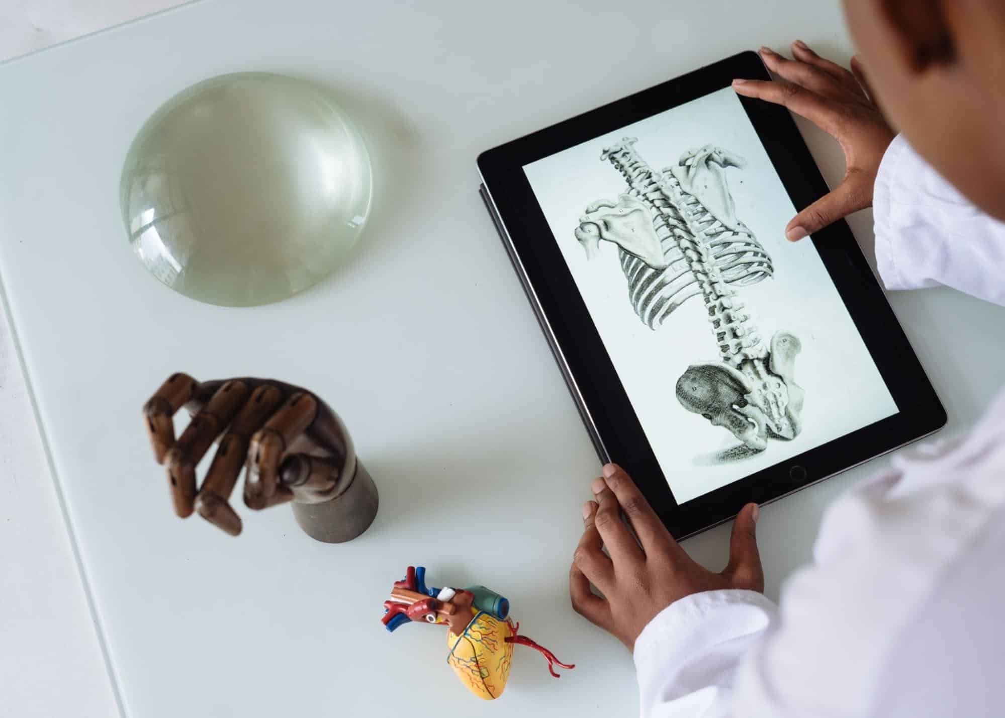 Desenho da estrutura óssea humana sendo visualizada em um tablet