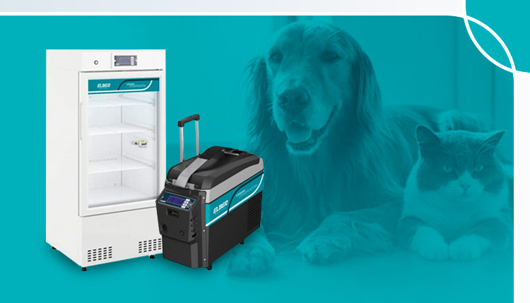 Armazenamento de vacinas para animais: como fazer?