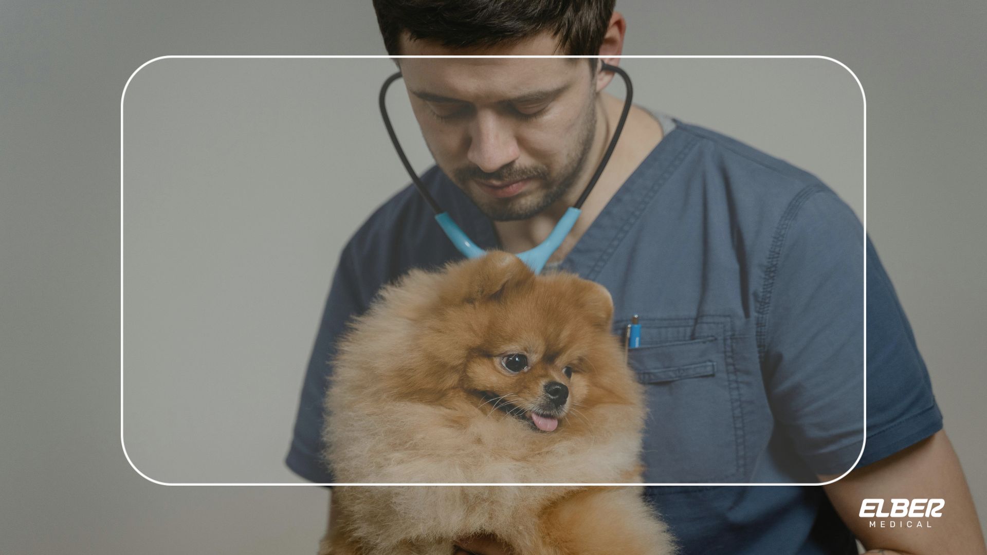 Estratégias para destacar sua clínica de vacinação: serviços diferenciados no mercado veterinário